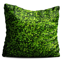 Zelený polštář Oyo home Ivy, 40 x 40 cm