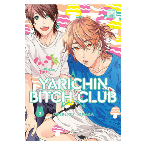 Viz Media Yarichin Bitch Club 02