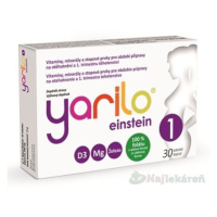 Yarilo einstein 1 30 toboliek