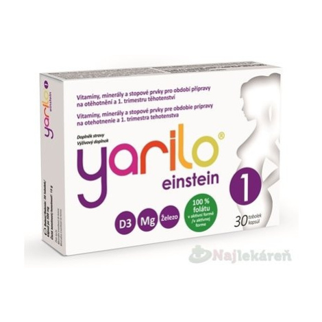 Yarilo einstein 1 30 toboliek