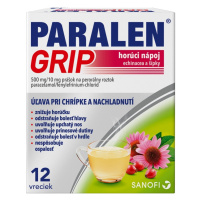 PARALEN GRIP horúci nápoj echinacea a šípky plo por 500 mg/10 mg 12 vrecúšok
