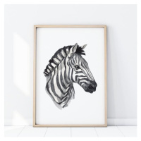 Safari plagát s portrétom zebry