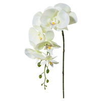 Umelá Orchidea biela, 86 cm 305303-50