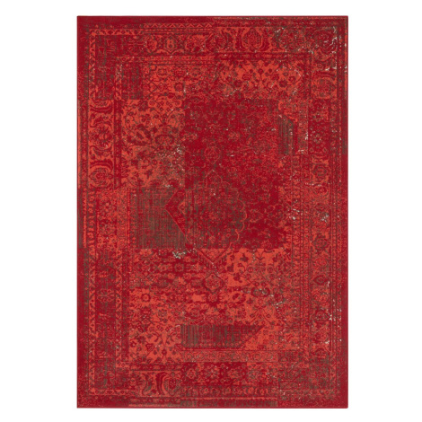 Kusový koberec Celebration 103467 Plume Red - 80x250 cm Hanse Home Collection koberce