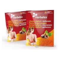 Herbalex Hrejivá náplasť s gaštanom na bolesť 1 ks