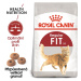 Royal Canin FIT - 400g