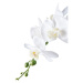 Umelá kvetina (výška 47 cm) Orchid – House Nordic