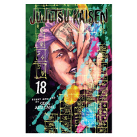 Viz Media Jujutsu Kaisen 18