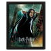 Pyramid International 3D obraz Harry Potter Snape