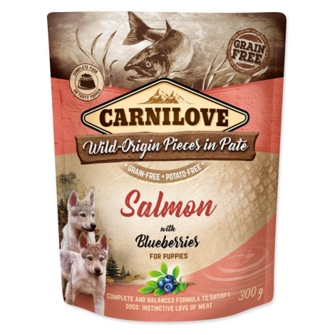 CARNILOVE PUPPY PATE SALMON WITH BLUEBERRIES 300G (294-111699) Brit
