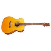 Tanglewood TW40 O AN E