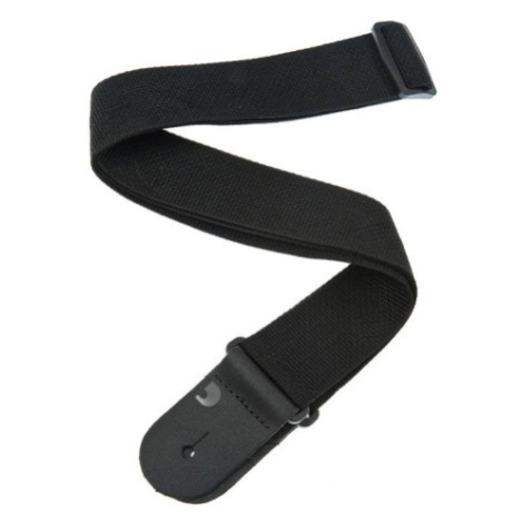 Planet Waves PWS100