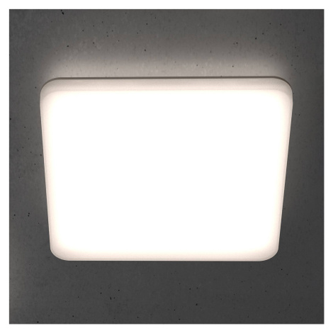 STEINEL RS PRO R20 Q basic stropné LED, 4 000 K