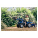 FALK Šliapací traktor 3090M New Holland T8 s nakladačom a vlečkou