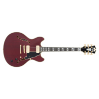 D'Angelico Deluxe DC Trans Wine