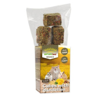 Pochúťka Nature Land Brunch celozrnné kocky s púpavou 90g