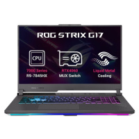 ASUS ROG Strix G17 (G713PV-LL045W)