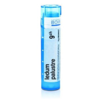 BOIRON Ledum palustre CH9 4 g