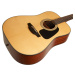 Takamine GD30-NAT