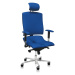 ASANA Seating Ergonomická kancelárska stolička Asana Architect Farba čalúnenia: Eko koža Modrá 5