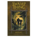 BB art Swamp Thing: Bažináč 6 - Shledání