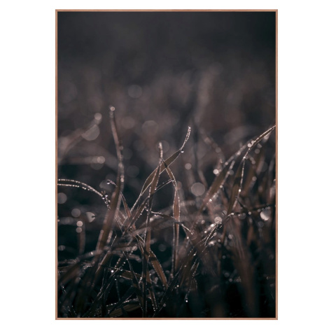 Obraz 50x70 cm Mellow Grasses 5 – Malerifabrikken