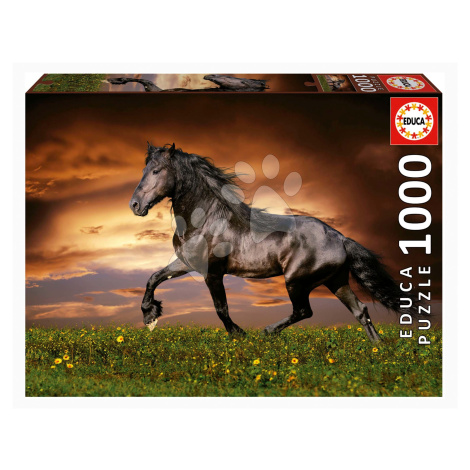 Puzzle Trotting Horse Educa 1000 dielov a Fix lepidlo