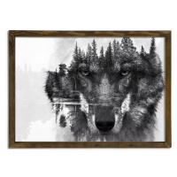 Nástenný obraz Wolf 50x70 cm čiernobiely