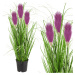 Umelá tráva Pamp v kvetináči 70 cm fialová