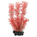 Dekorácia Tetra Rastlina Foxtail Red S 15cm