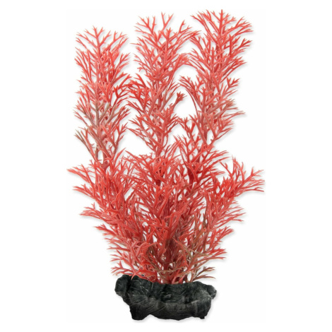 Dekorácia Tetra Rastlina Foxtail Red S 15cm