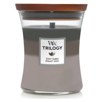 WOODWICK Trilogy Cozy Cabin 275 g