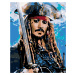 Diamantové maľovanie - JACK SPARROW II Rámovanie: vypnuté plátno na rám, Rozmer: 40x50 cm