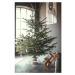 Stojan na vianočný stromček v zlato-bielej farbe Tree Nest Halo