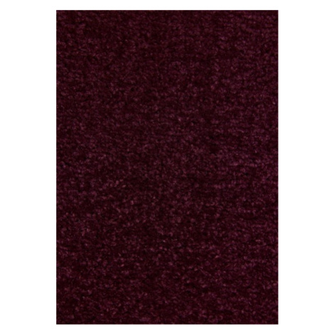 Kusový koberec Nasty 102368 Brombeer Violett Rozmery koberca: 200x300 Hanse Home