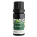 NOBILIS TILIA Bergamot 10 ml