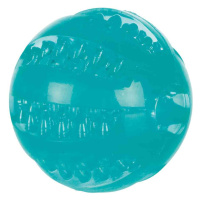 DentaFun lopta, termoplastická guma (TPR) 6 cm