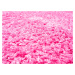 Kusový koberec Efor Shaggy 7182 Pink - 60x115 cm Mono Carpet