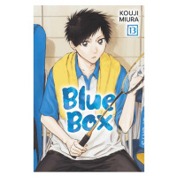 Viz Media Blue Box 13