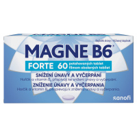 MAGNE B6 FORTE 60 tabliet