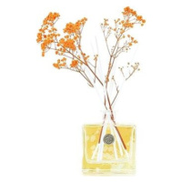 ASHLEIGH & BURWOOD Life In BloomOragne Blossom & Mandarin 150 ml