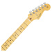 Fender American Professional II Stratocaster HSS MN RST PINE