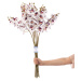Umelé kvety v súprave 10 ks (výška 76 cm) Faleni – AmeliaHome