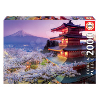 Educa Puzzle Genuine Mount Fuji, Japan 2000 dielov 16775