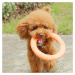 Reedog tréninkový kruh pro psy oranžová - S 17,5 cm