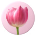 PopSockets PopGrip Gen.2, It Takes Tulip, ružový tulipán