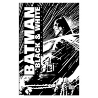 DC Comics Batman: Black & White 3