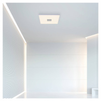 Paul Neuhaus Pure-Neo stropné LED svetlo 45x45 cm