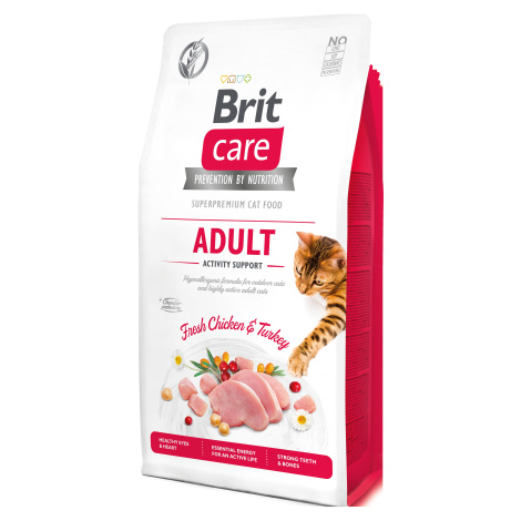BRIT CARE cat GF  ADULT ACTIVITY support  - 2kg
