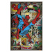 Plagát Marvel Comics - Spider-Man Ret (225)